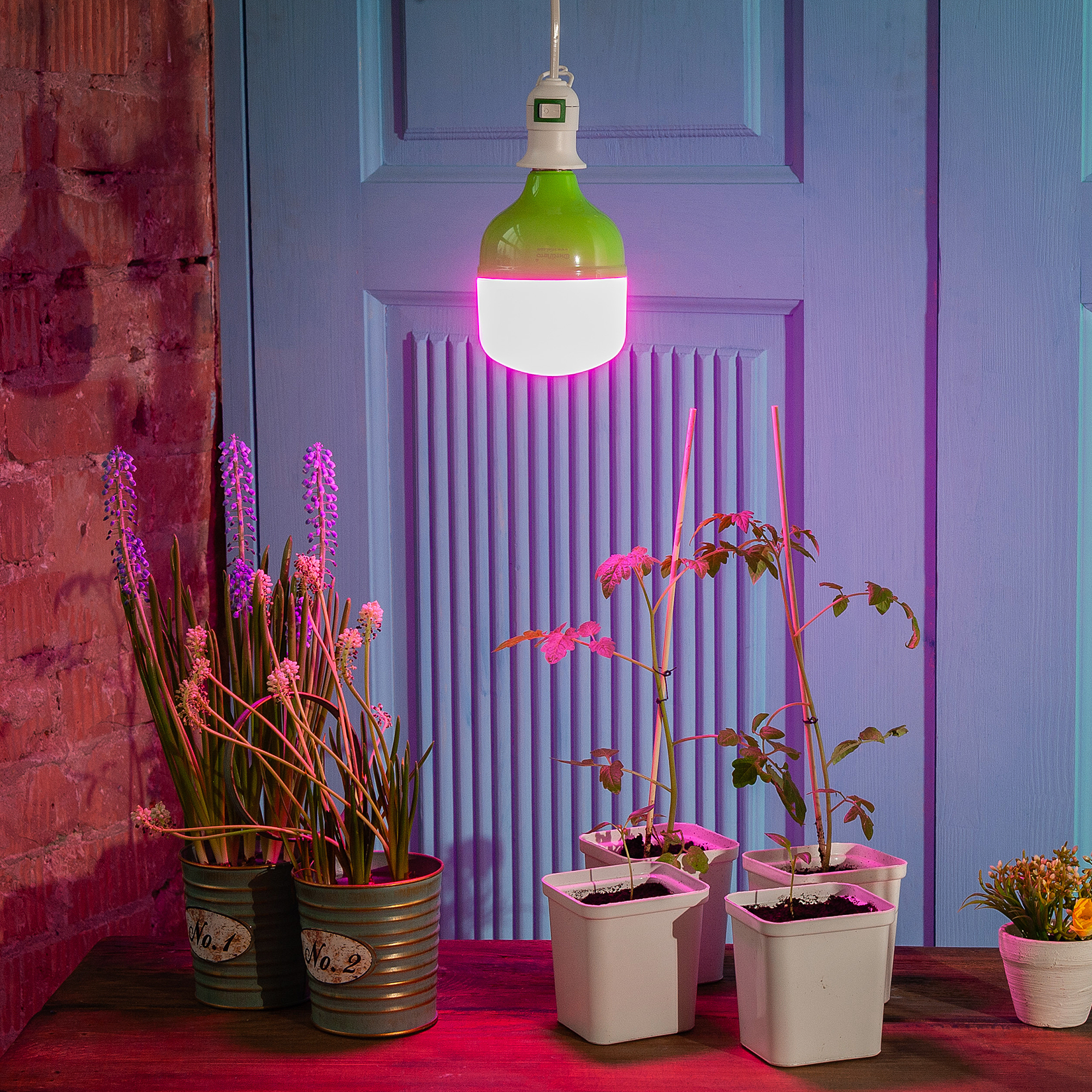 LED-M80-20W/SPSB/E27/FR PLS55GR