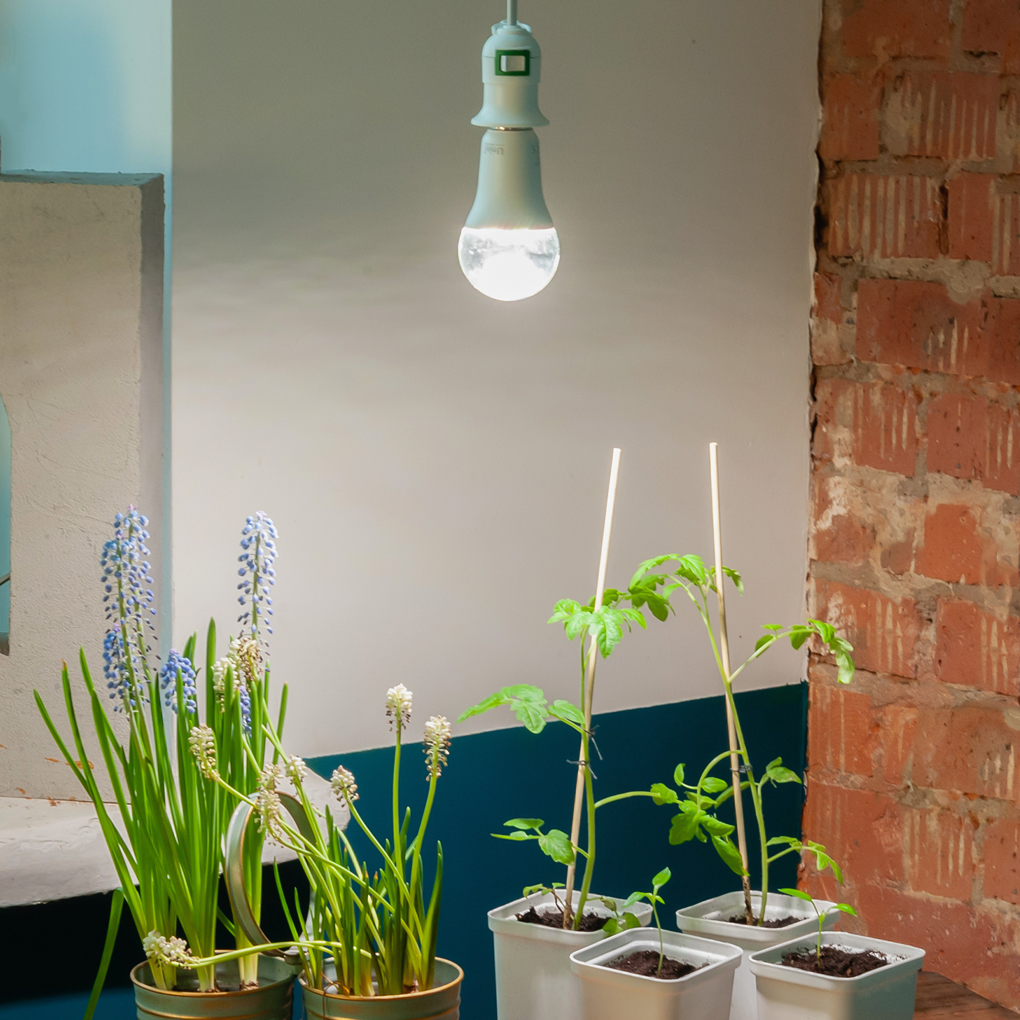 LED-A60-10W/SPFR/E27/CL PLP01WH